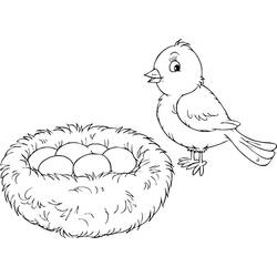 着色页: 小鸟 (动物) #20304 - 免费可打印着色页