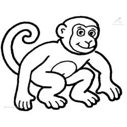 着色页: 黑猩猩 (动物) #2788 - 免费可打印着色页