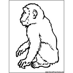 着色页: 黑猩猩 (动物) #2794 - 免费可打印着色页