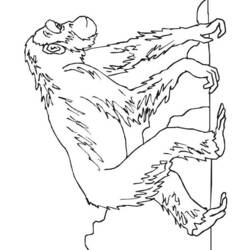 着色页: 黑猩猩 (动物) #2796 - 免费可打印着色页
