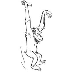 着色页: 黑猩猩 (动物) #2812 - 免费可打印着色页