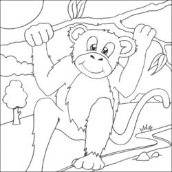 着色页: 黑猩猩 (动物) #2866 - 免费可打印着色页