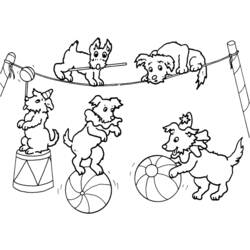 着色页: 马戏团动物 (动物) #20854 - 免费可打印着色页
