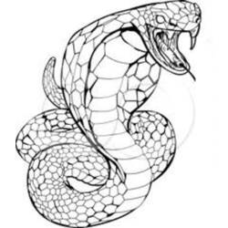 着色页: 眼镜蛇 (动物) #3220 - 免费可打印着色页