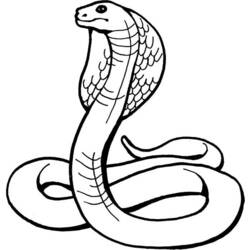着色页: 眼镜蛇 (动物) #3223 - 免费可打印着色页