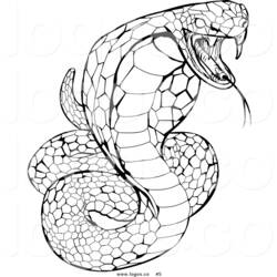 着色页: 眼镜蛇 (动物) #3263 - 免费可打印着色页