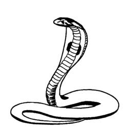 着色页: 眼镜蛇 (动物) #3296 - 免费可打印着色页