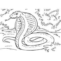 着色页: 眼镜蛇 (动物) #3308 - 免费可打印着色页