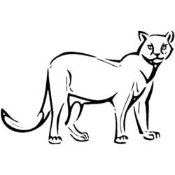 着色页: 美洲狮 (动物) #4441 - 免费可打印着色页