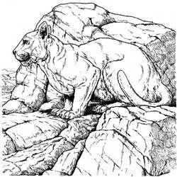 着色页: 美洲狮 (动物) #4470 - 免费可打印着色页