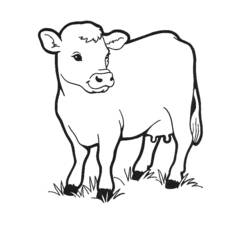 着色页: 奶牛 (动物) #13189 - 免费可打印着色页