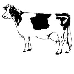 着色页: 奶牛 (动物) #13196 - 免费可打印着色页