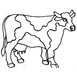着色页: 奶牛 (动物) #13208 - 免费可打印着色页