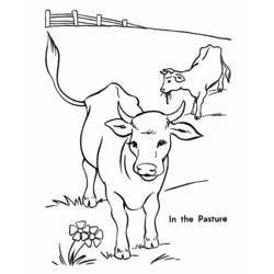 着色页: 奶牛 (动物) #13229 - 免费可打印着色页