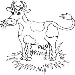 着色页: 奶牛 (动物) #13233 - 免费可打印着色页