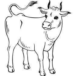 着色页: 奶牛 (动物) #13248 - 免费可打印着色页
