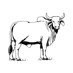 着色页: 奶牛 (动物) #13260 - 免费可打印着色页