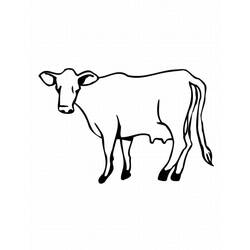 着色页: 奶牛 (动物) #13274 - 免费可打印着色页