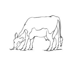 着色页: 奶牛 (动物) #13347 - 免费可打印着色页
