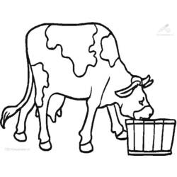 着色页: 奶牛 (动物) #13352 - 免费可打印着色页