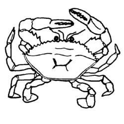 着色页: 螃蟹 (动物) #4611 - 免费可打印着色页