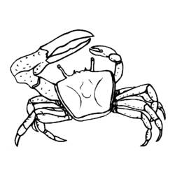 着色页: 螃蟹 (动物) #4613 - 免费可打印着色页