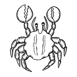 着色页: 螃蟹 (动物) #4624 - 免费可打印着色页