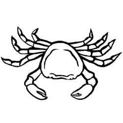 着色页: 螃蟹 (动物) #4639 - 免费可打印着色页