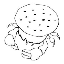 着色页: 螃蟹 (动物) #4655 - 免费可打印着色页