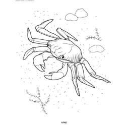着色页: 螃蟹 (动物) #4659 - 免费可打印着色页