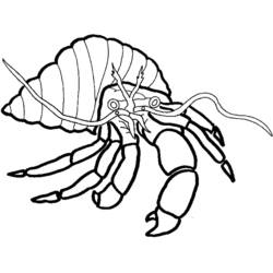 着色页: 螃蟹 (动物) #4673 - 免费可打印着色页