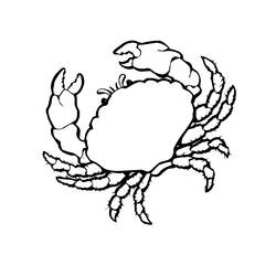 着色页: 螃蟹 (动物) #4674 - 免费可打印着色页