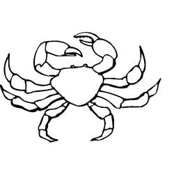 着色页: 螃蟹 (动物) #4691 - 免费可打印着色页
