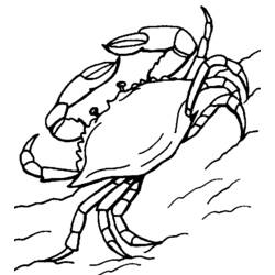 着色页: 螃蟹 (动物) #4717 - 免费可打印着色页