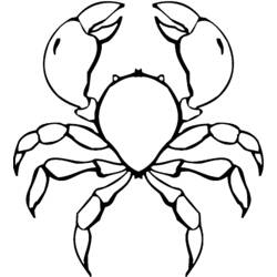 着色页: 螃蟹 (动物) #4754 - 免费可打印着色页