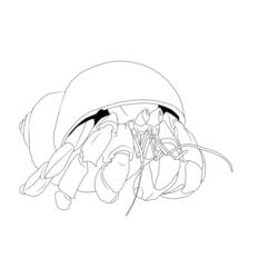 着色页: 螃蟹 (动物) #4767 - 免费可打印着色页