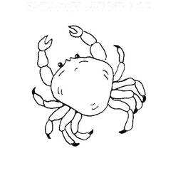 着色页: 螃蟹 (动物) #4777 - 免费可打印着色页
