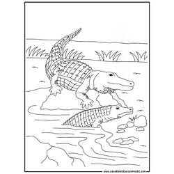 着色页: 鳄鱼 (动物) #4794 - 免费可打印着色页