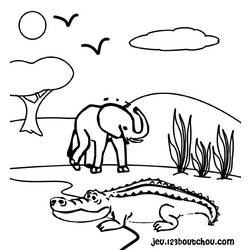 着色页: 鳄鱼 (动物) #4796 - 免费可打印着色页