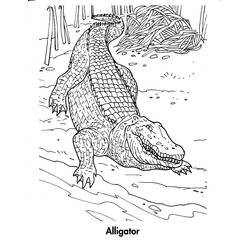 着色页: 鳄鱼 (动物) #4825 - 免费可打印着色页