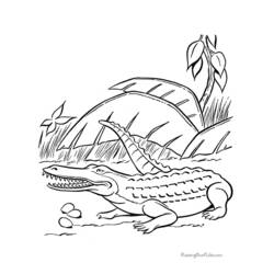 着色页: 鳄鱼 (动物) #4827 - 免费可打印着色页