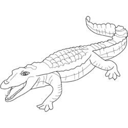 着色页: 鳄鱼 (动物) #4829 - 免费可打印着色页