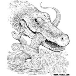 着色页: 鳄鱼 (动物) #4854 - 免费可打印着色页