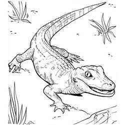着色页: 鳄鱼 (动物) #4903 - 免费可打印着色页