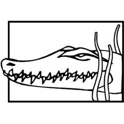 着色页: 鳄鱼 (动物) #4916 - 免费可打印着色页