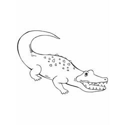 着色页: 鳄鱼 (动物) #4961 - 免费可打印着色页