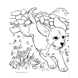 着色页: 狗 (动物) #3129 - 免费可打印着色页