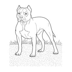 着色页: 狗 (动物) #3138 - 免费可打印着色页