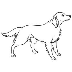着色页: 狗 (动物) #3190 - 免费可打印着色页