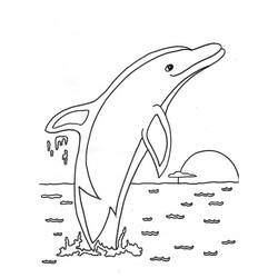 着色页: 海豚 (动物) #5090 - 免费可打印着色页